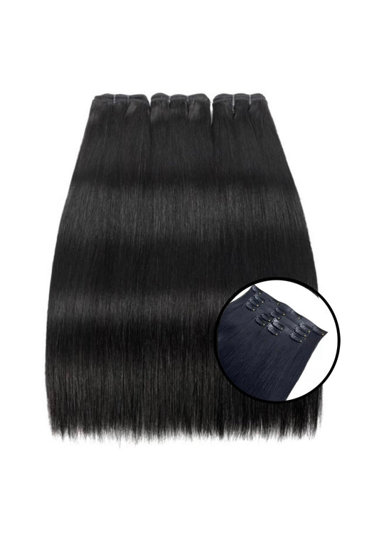 Vietnamese Bone Straight Raw Seamless Clip-ins