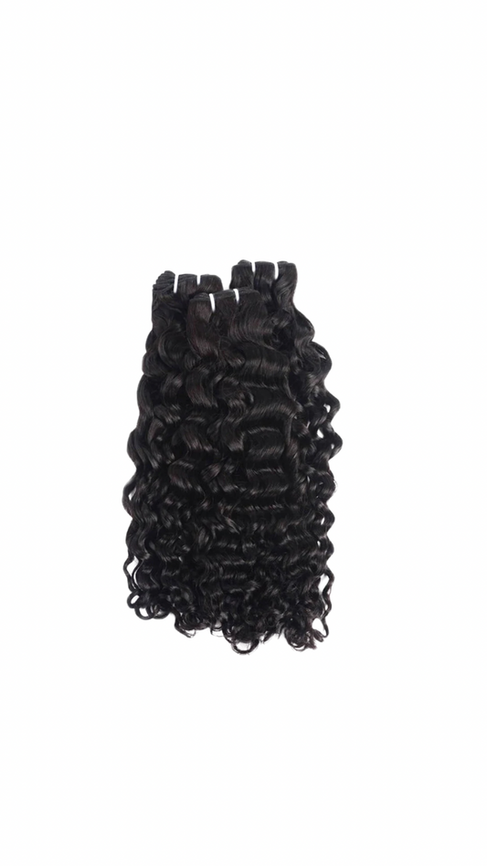 Raw Burmese Curly